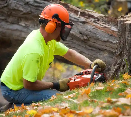 tree services Hayesville